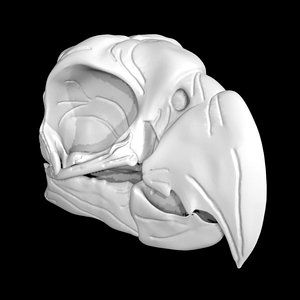 Parrot skull 3D