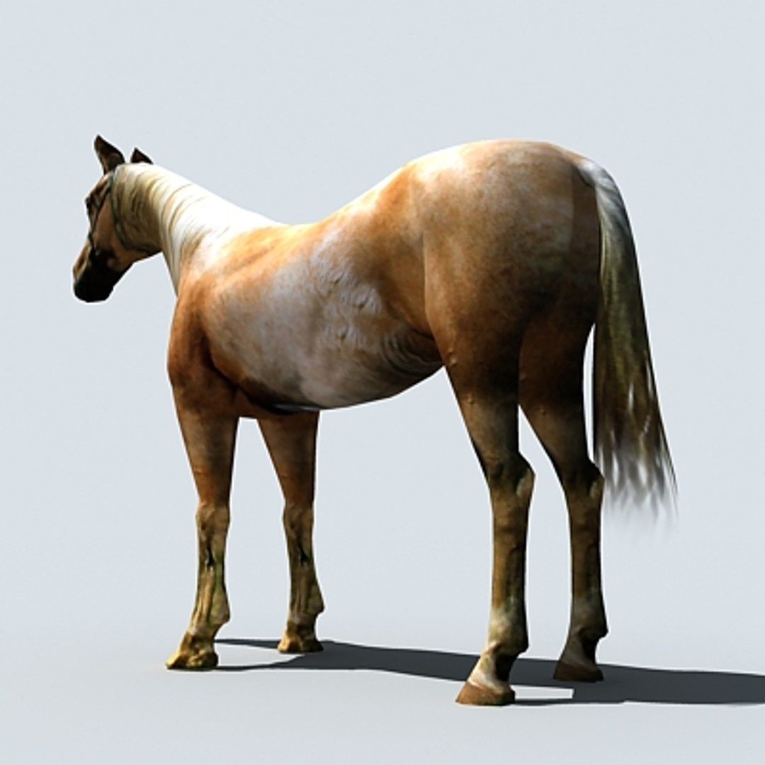 Horse 3D model - TurboSquid 370451