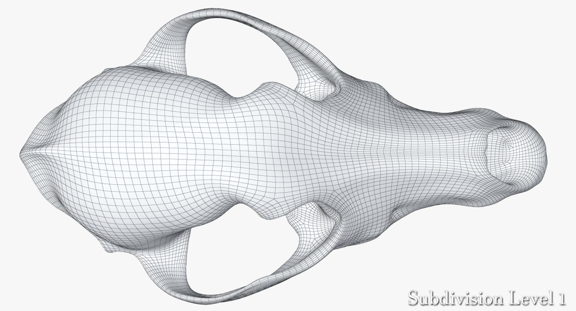 dog skull 5 3d c4d https://p.turbosquid.com/ts-thumb/To/EJGTaU/8EvCoY1v/camera001_wiresds1001/jpg/1444149624/1920x1080/fit_q87/117d2602960de712faa1dc98b71a83ba48e1f7be/camera001_wiresds1001.jpg