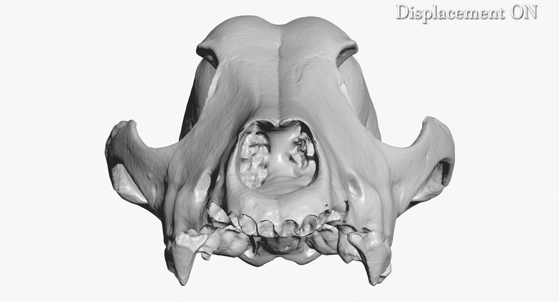 dog skull 5 3d c4d https://p.turbosquid.com/ts-thumb/To/EJGTaU/9nLevSoU/camera005_displaceon001/jpg/1444149624/1920x1080/fit_q87/b412730e42bc03c98a38bd777c015746dbf4b510/camera005_displaceon001.jpg