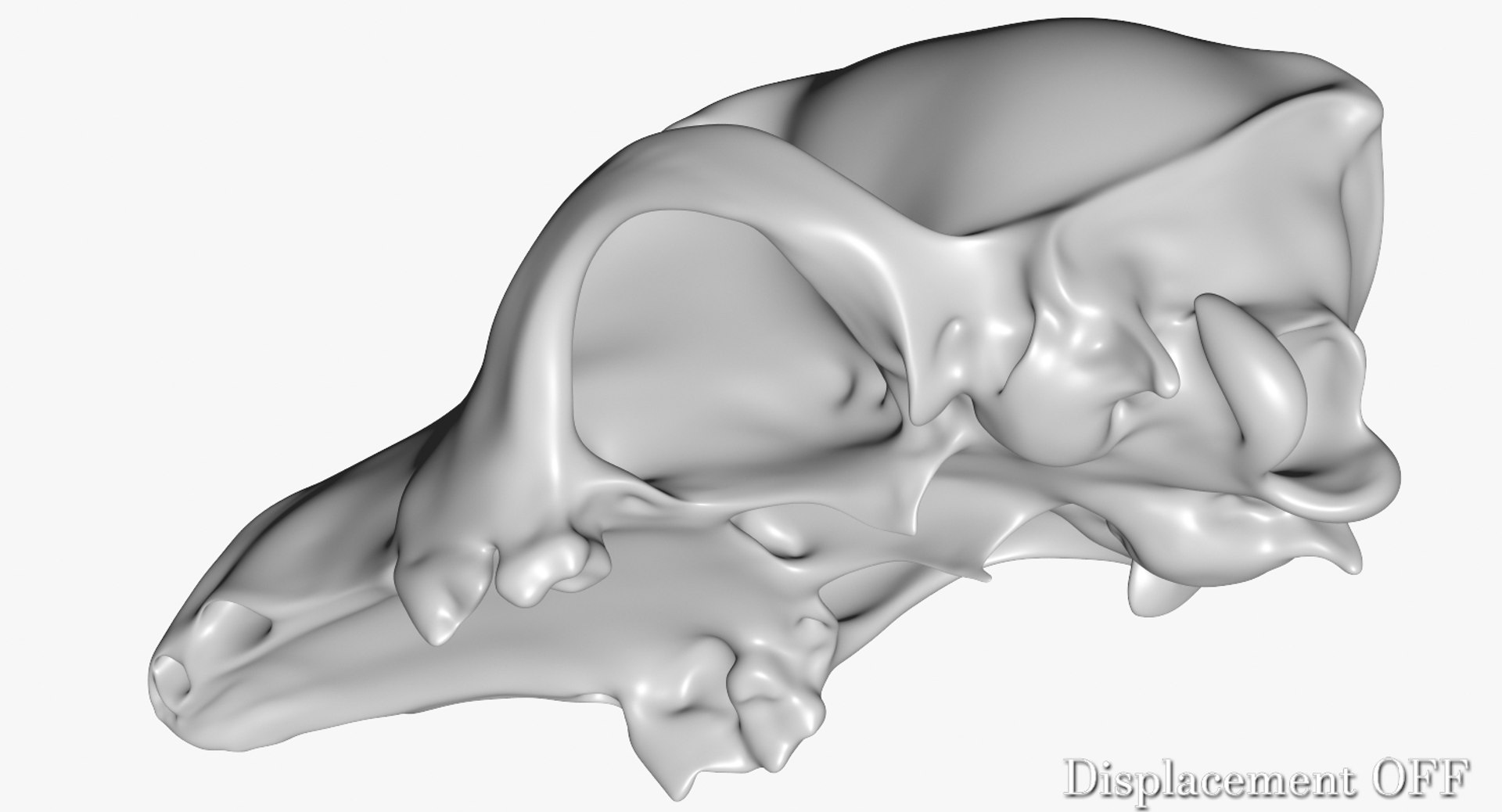 dog skull 5 3d c4d https://p.turbosquid.com/ts-thumb/To/EJGTaU/FkVTQ4YZ/camera006_displaceoff001/jpg/1444149624/1920x1080/fit_q87/0ab84fc629d23f2307b36ac9adac5e2d94da6791/camera006_displaceoff001.jpg
