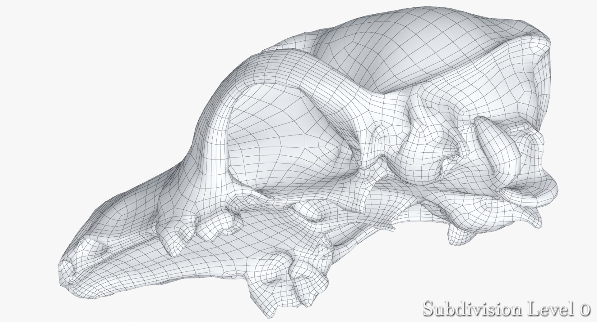 dog skull 5 3d c4d https://p.turbosquid.com/ts-thumb/To/EJGTaU/SGpyprfk/camera006_wiresds0001/jpg/1444149624/1920x1080/fit_q87/8308aebb2ad7b008ba0e5beed497e4387bca146e/camera006_wiresds0001.jpg