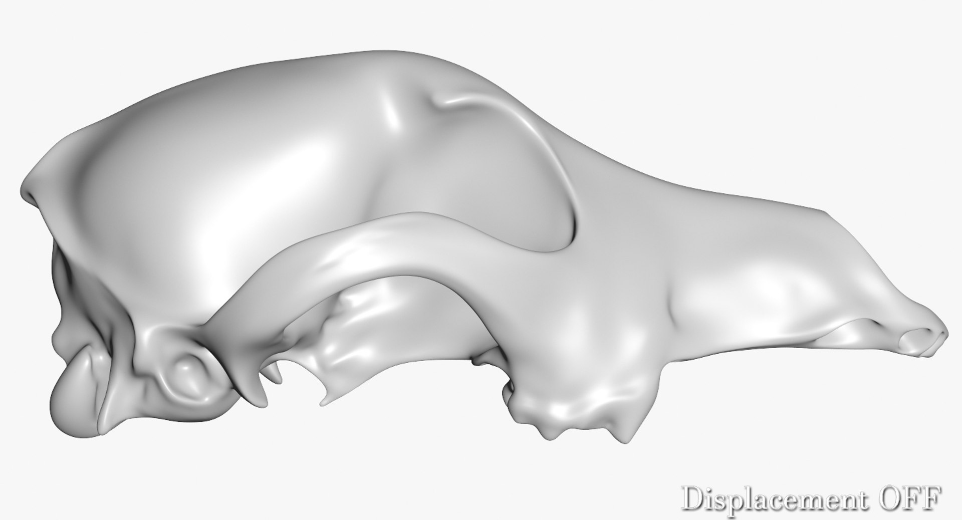 dog skull 5 3d c4d https://p.turbosquid.com/ts-thumb/To/EJGTaU/hvmMwjIO/camera002_displaceoff001/jpg/1444149624/1920x1080/fit_q87/329b84e8666008e1aa61b4a255958462e3b6df21/camera002_displaceoff001.jpg