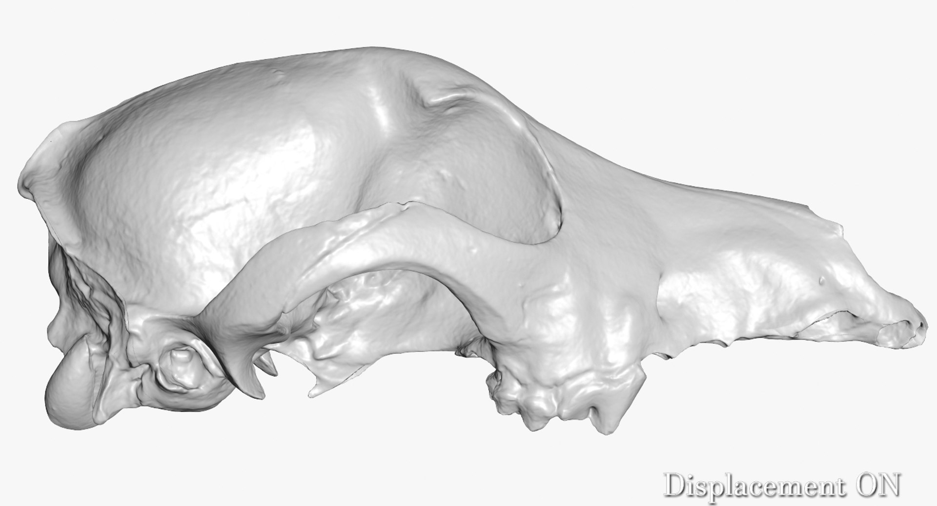 dog skull 5 3d c4d https://p.turbosquid.com/ts-thumb/To/EJGTaU/jGhUluIk/camera002_displaceon001/jpg/1444149624/1920x1080/fit_q87/8766d38b40db89656e3457e1ceddd651a3856002/camera002_displaceon001.jpg