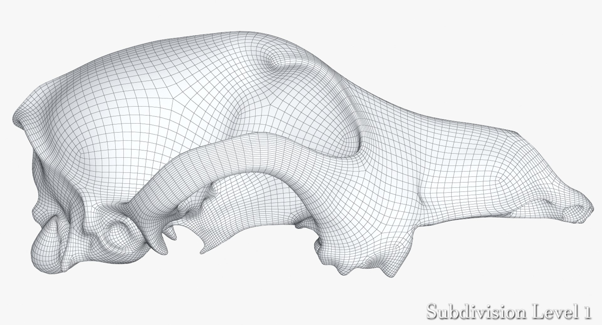 dog skull 5 3d c4d https://p.turbosquid.com/ts-thumb/To/EJGTaU/lylfLmfv/camera002_wiresds1001/jpg/1444149624/1920x1080/fit_q87/10942dbda947771aed9886e4b18f20310b6904af/camera002_wiresds1001.jpg