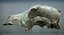 Dog Skull 5