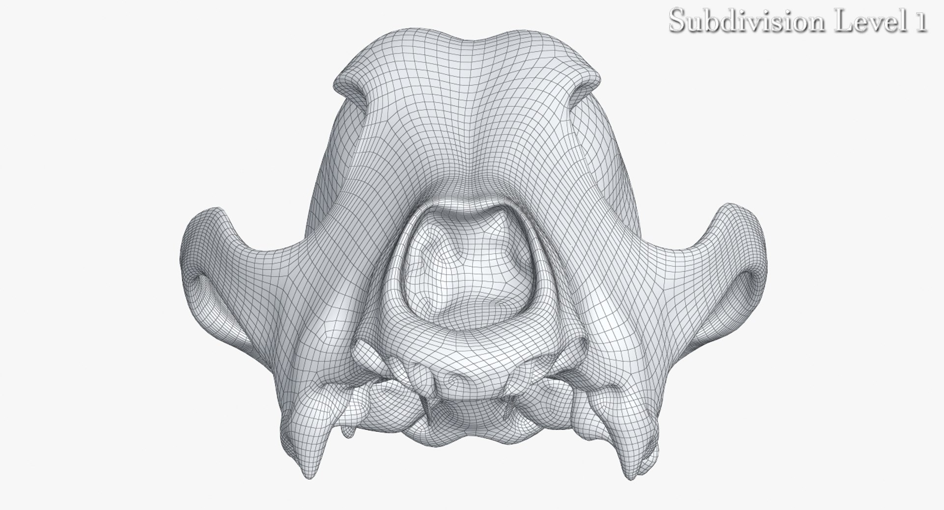 dog skull 5 3d c4d https://p.turbosquid.com/ts-thumb/To/EJGTaU/t9BmwXuM/camera005_wiresds1001/jpg/1444149624/1920x1080/fit_q87/84d392f258e1db619b9a13cf36f90375d377caf5/camera005_wiresds1001.jpg