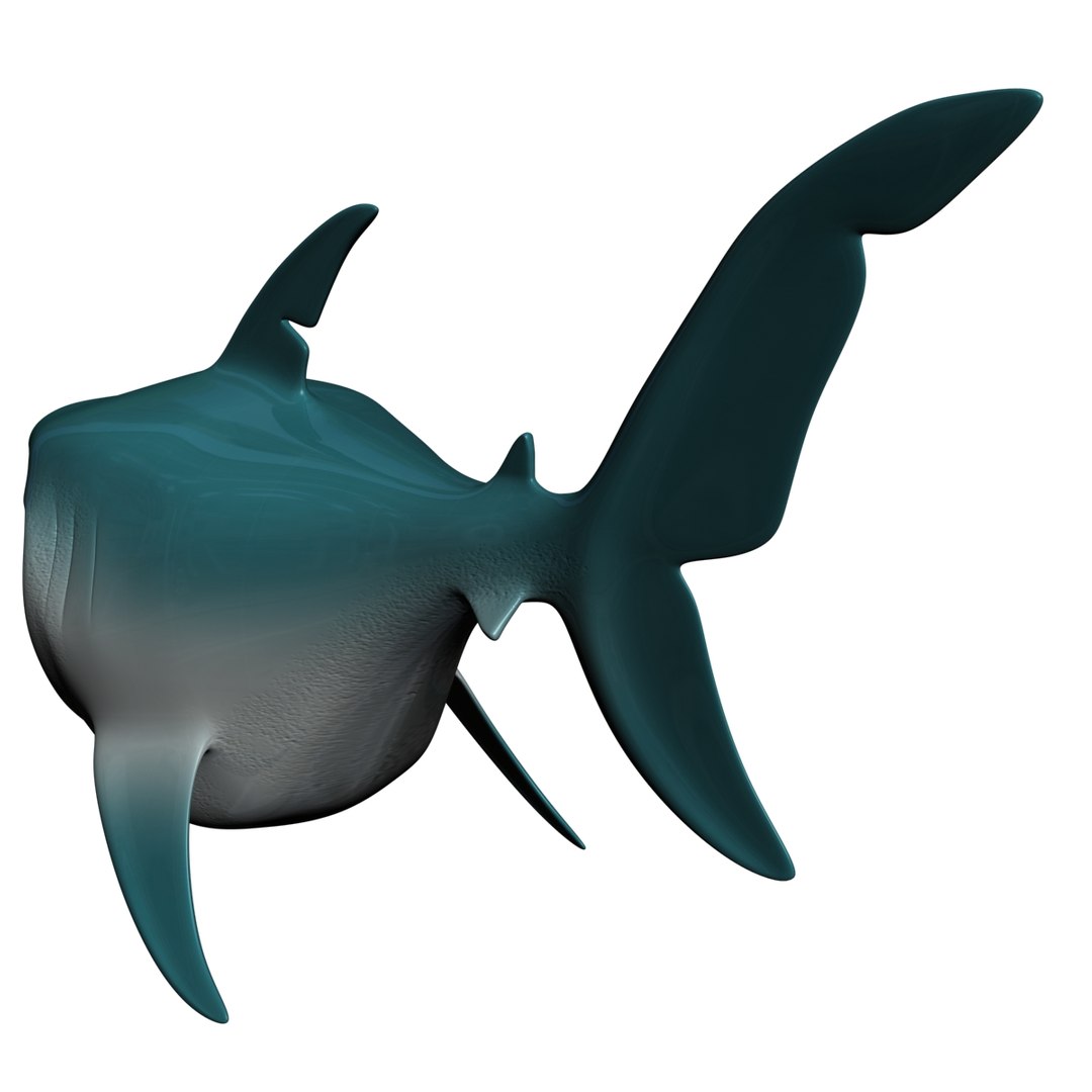 Cartoon Shark Rigged Animation 3d Model