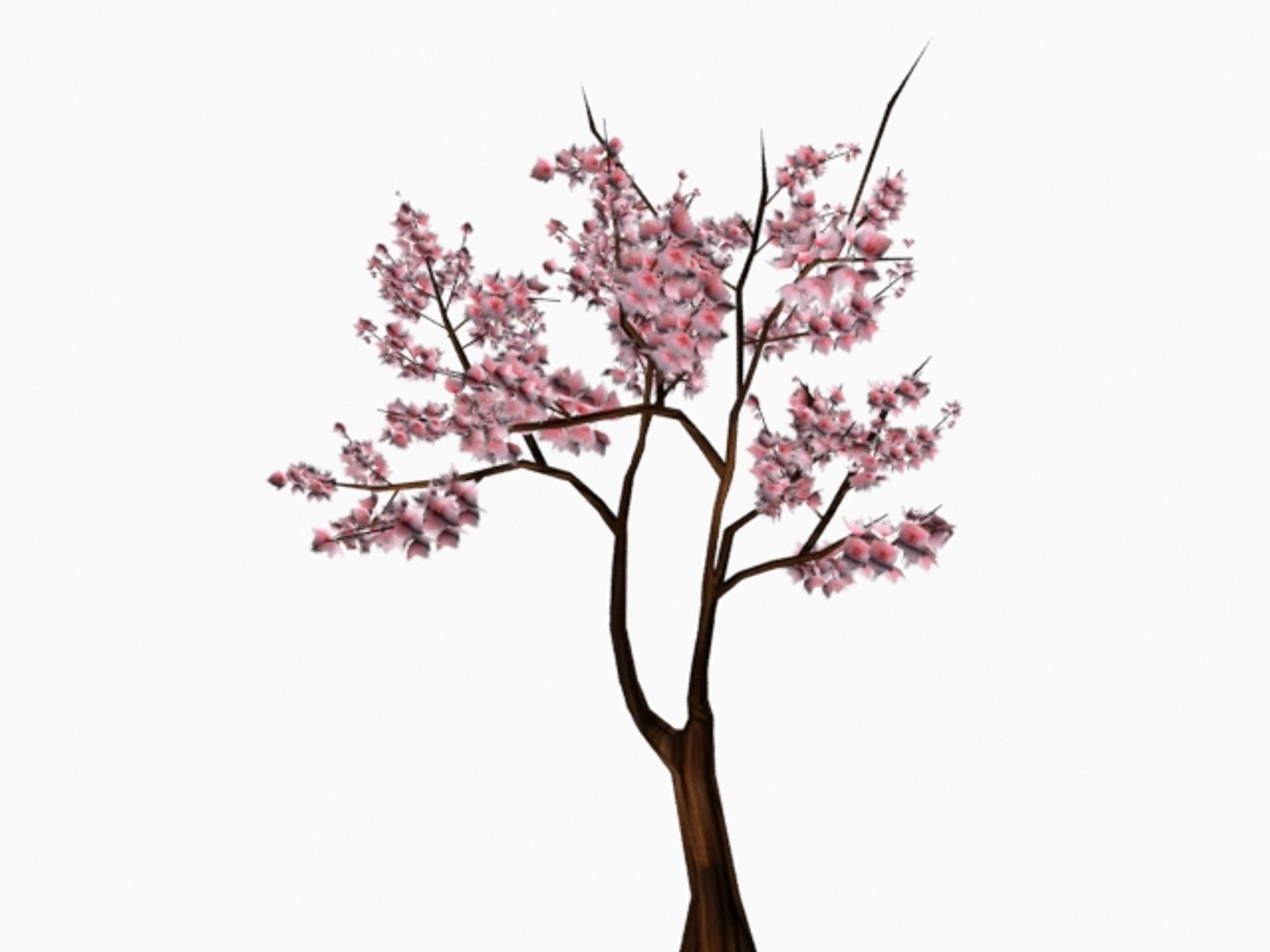 sakura tree x https://p.turbosquid.com/ts-thumb/To/MMyp67/t2CSc2Lw/sakuratree4/jpg/1485942341/1920x1080/fit_q87/894bddf05c0a39c02f0a2f0ef8fddc9435fd22d5/sakuratree4.jpg