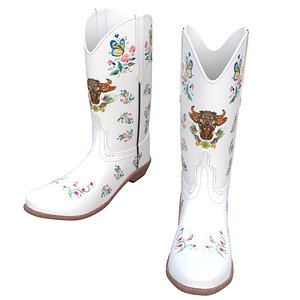 Cowboy Boots Colection 3D