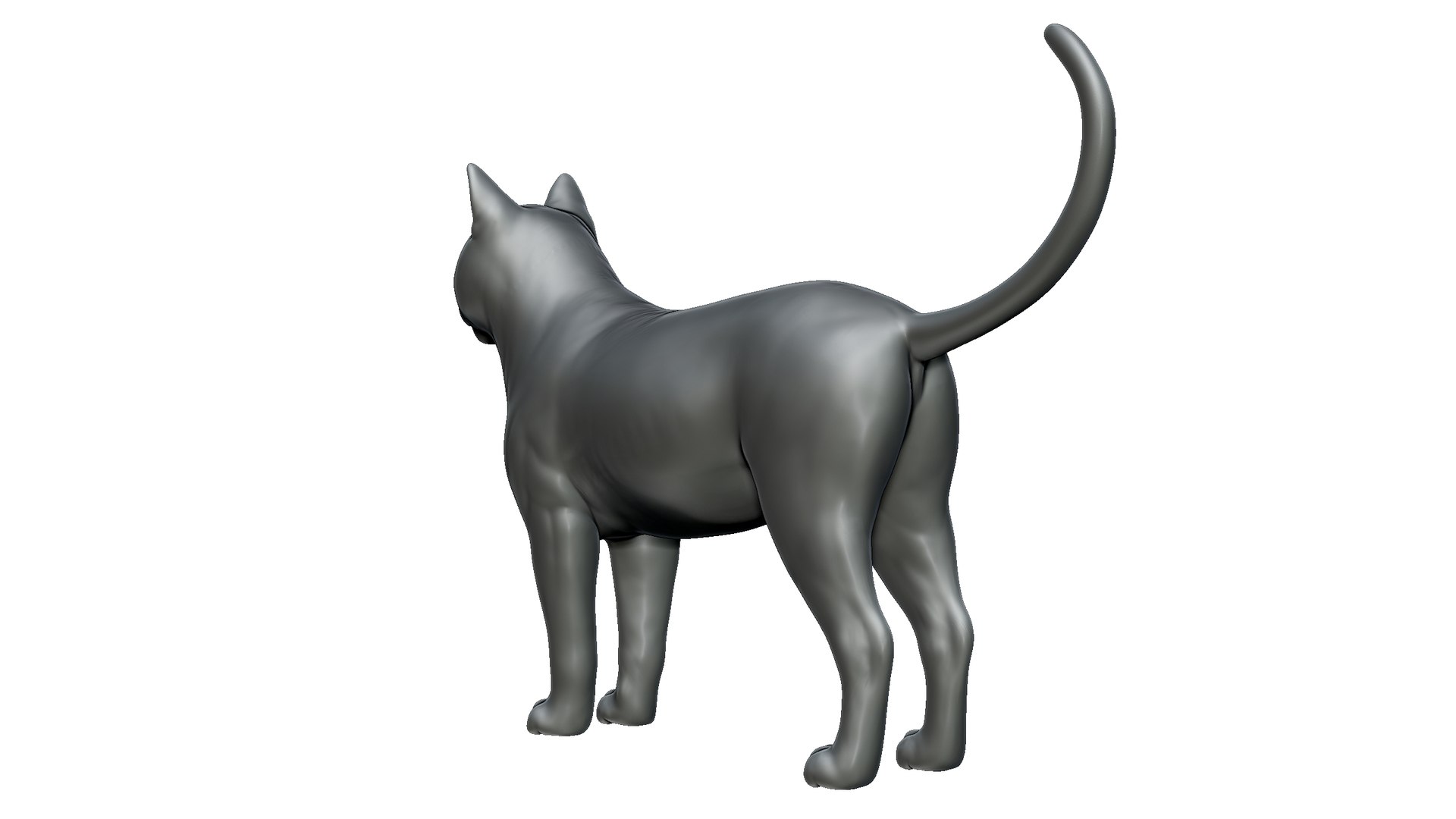 cat 3D model https://p.turbosquid.com/ts-thumb/To/Sl9ZvX/JA/6/jpg/1725758841/1920x1080/fit_q87/b63796351f22fd227a3cfeacb1ea3cbf47b66966/6.jpg