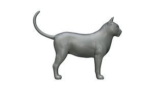 cat 3D model