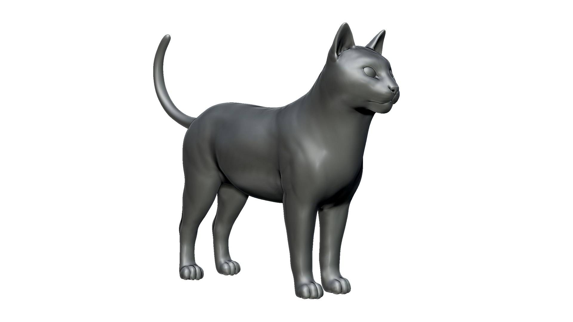 cat 3D model https://p.turbosquid.com/ts-thumb/To/Sl9ZvX/rF/2/jpg/1725758831/1920x1080/fit_q87/d61547e19e3d2110427909db6688a5c3ad8f45cd/2.jpg
