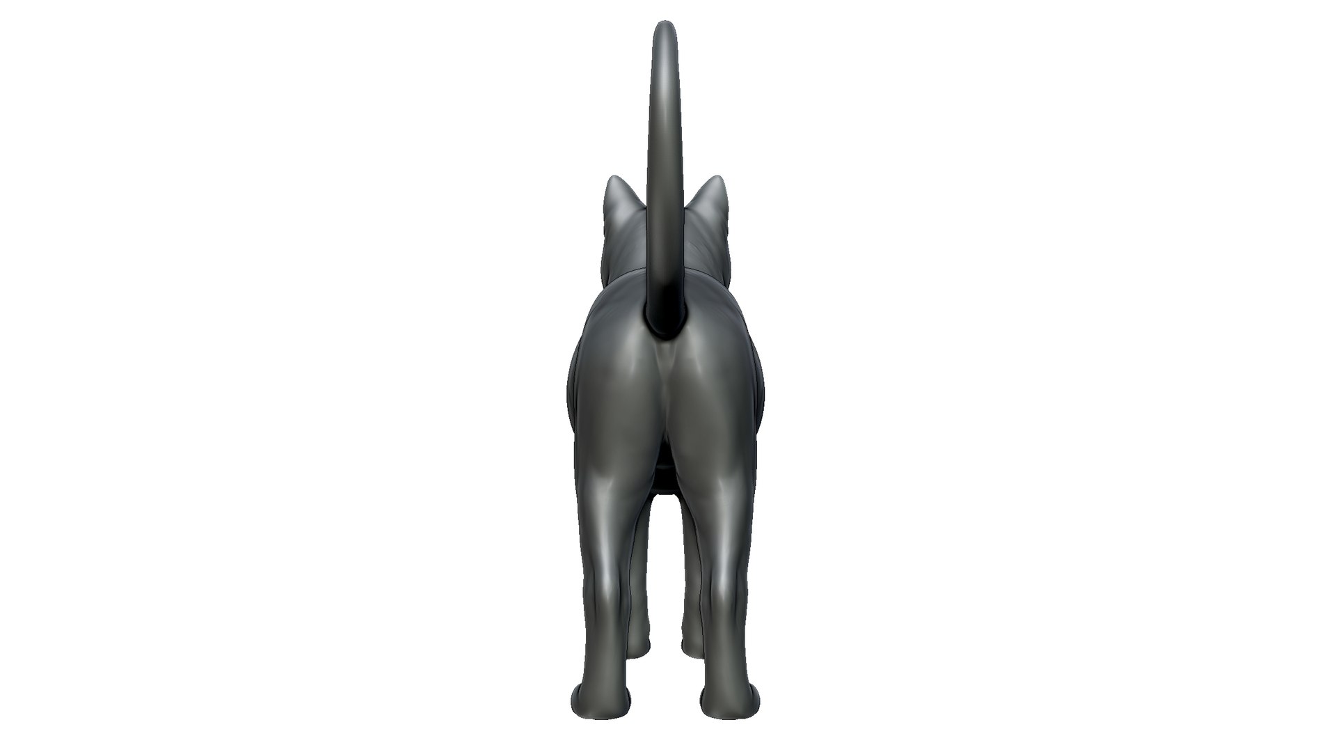 cat 3D model https://p.turbosquid.com/ts-thumb/To/Sl9ZvX/vI/7/jpg/1725758842/1920x1080/fit_q87/eb54bf7acc2fa382f461a78d56d91a3898e82f29/7.jpg