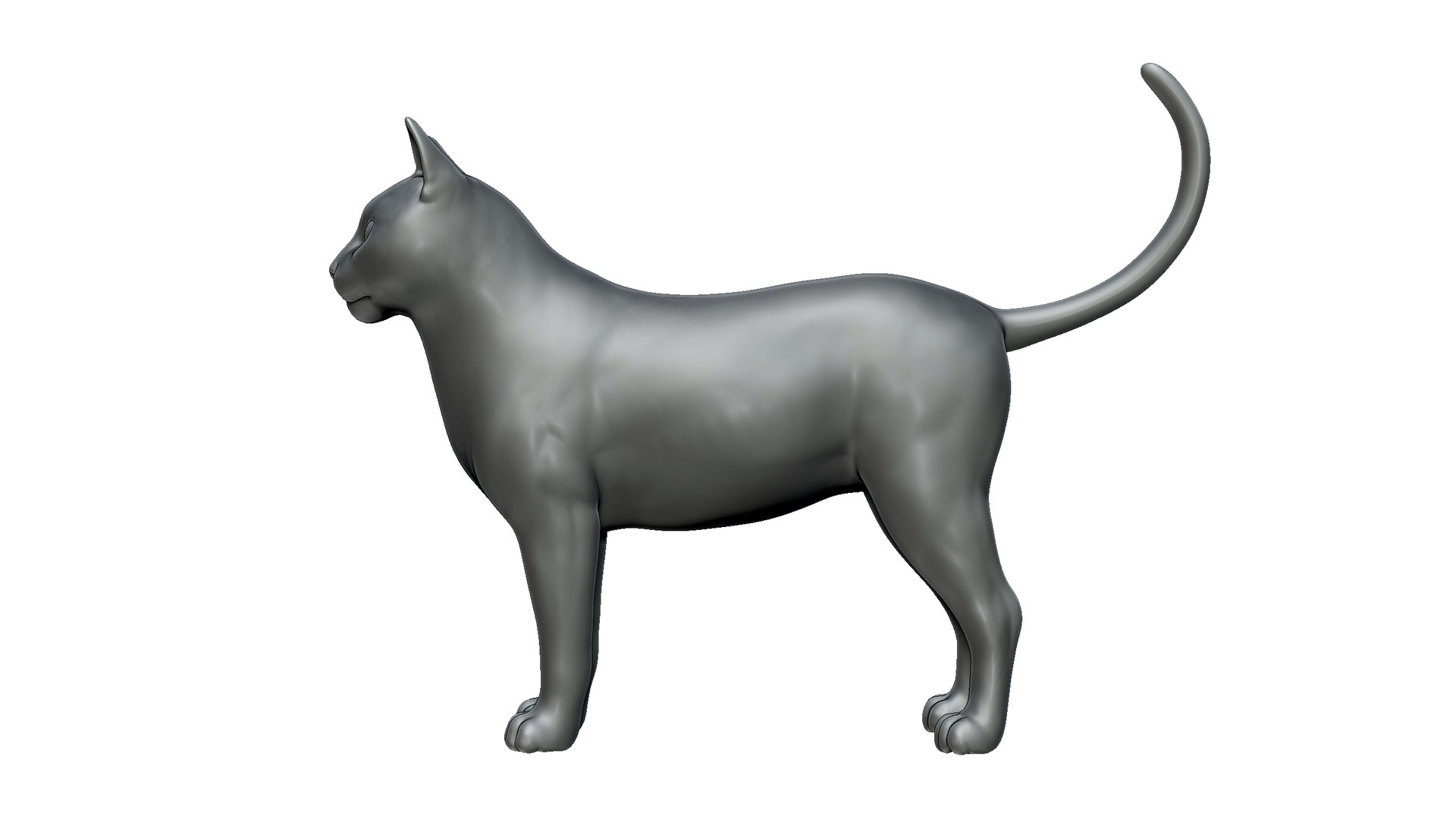 cat 3D model https://p.turbosquid.com/ts-thumb/To/Sl9ZvX/vV/5/jpg/1725758841/1920x1080/fit_q87/938b0a7cebb78c8841dc7bd240c39dd19d06204b/5.jpg