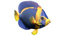 Angelfish Scribbled