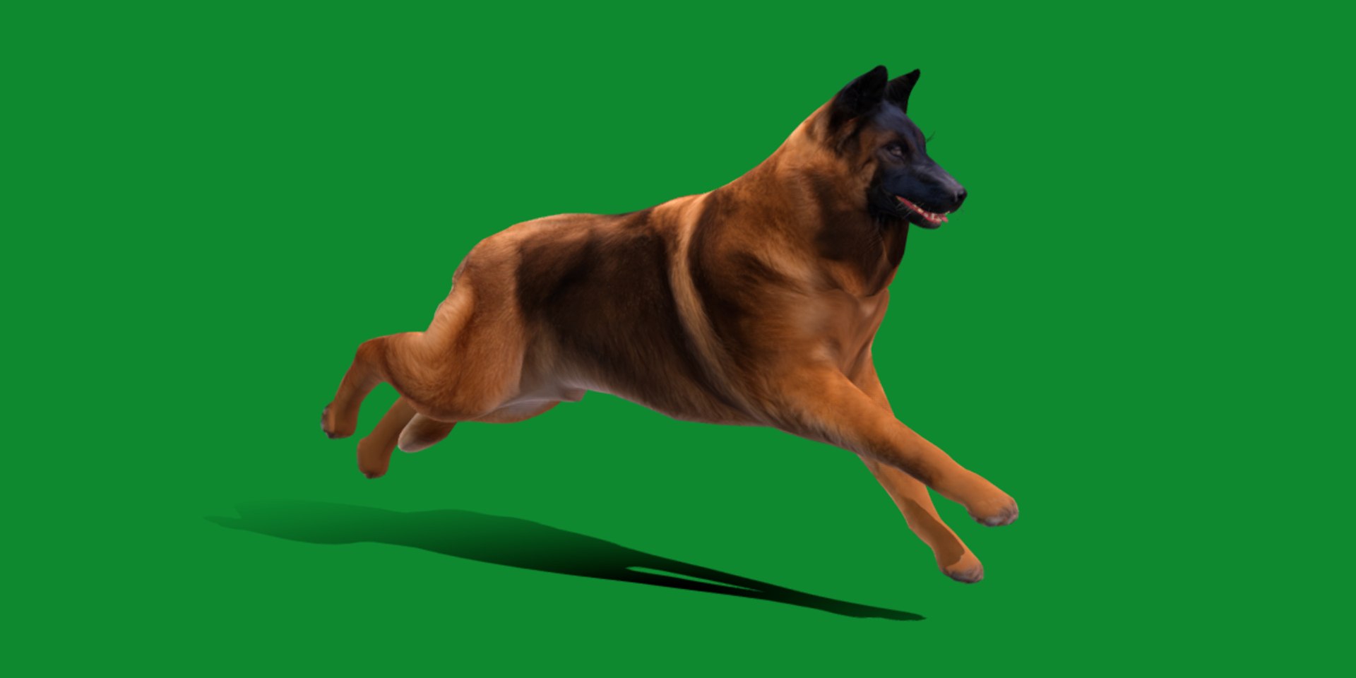 Belgian Shepherd Tervuren Dog model https://p.turbosquid.com/ts-thumb/To/lcdGUL/DK/belgian_shepherd_tervuren_dog13/png/1725448841/1920x1080/fit_q87/b47ffb641c853566d8f743621fcceb7aa332402f/belgian_shepherd_tervuren_dog13.jpg