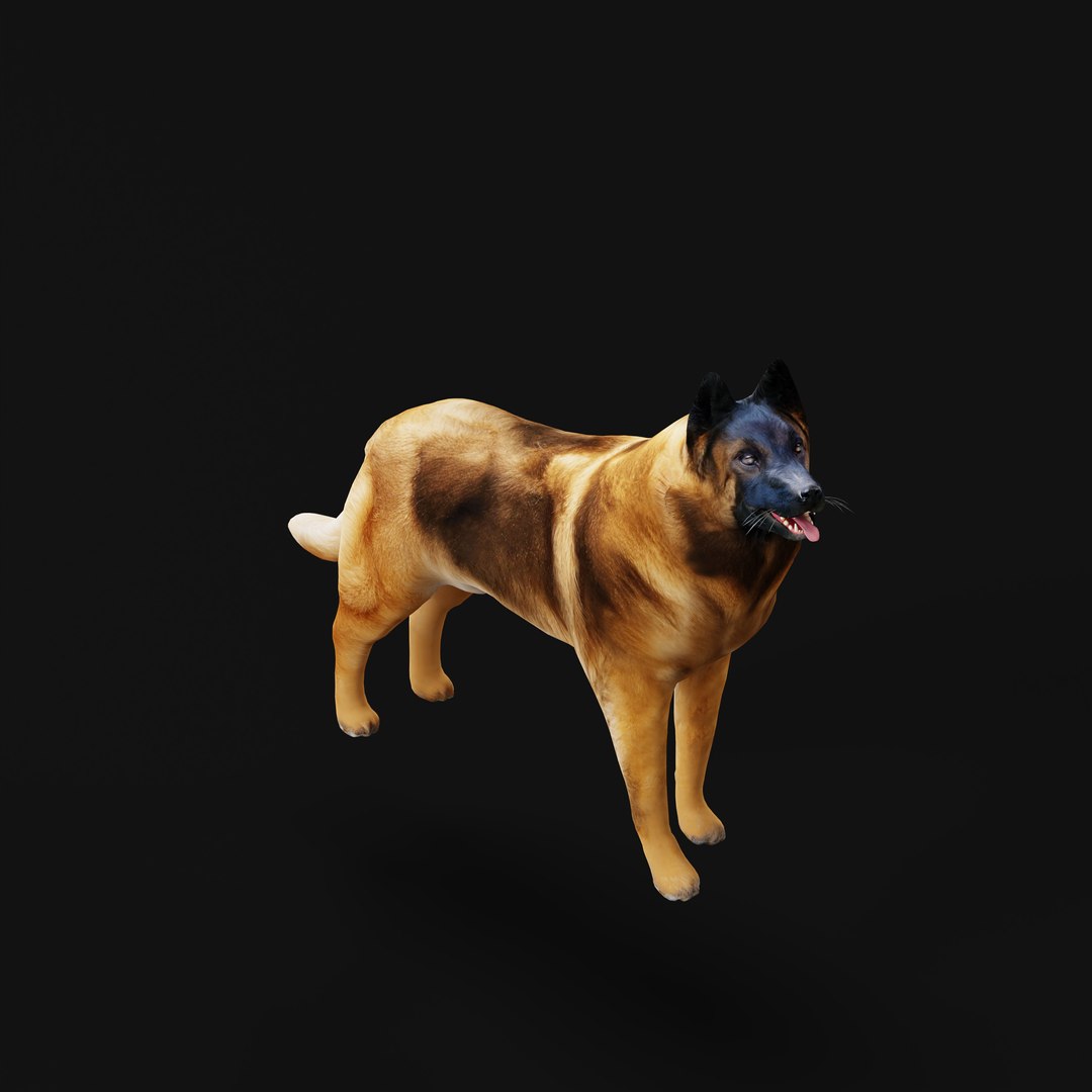 Belgian Shepherd Tervuren Dog model https://p.turbosquid.com/ts-thumb/To/lcdGUL/EJ/belgian_tervuren_dog_rig_ao_0006/jpg/1725448867/1920x1080/fit_q87/73482d8fd5a2d460dfc80a06050b9c92073d094b/belgian_tervuren_dog_rig_ao_0006.jpg