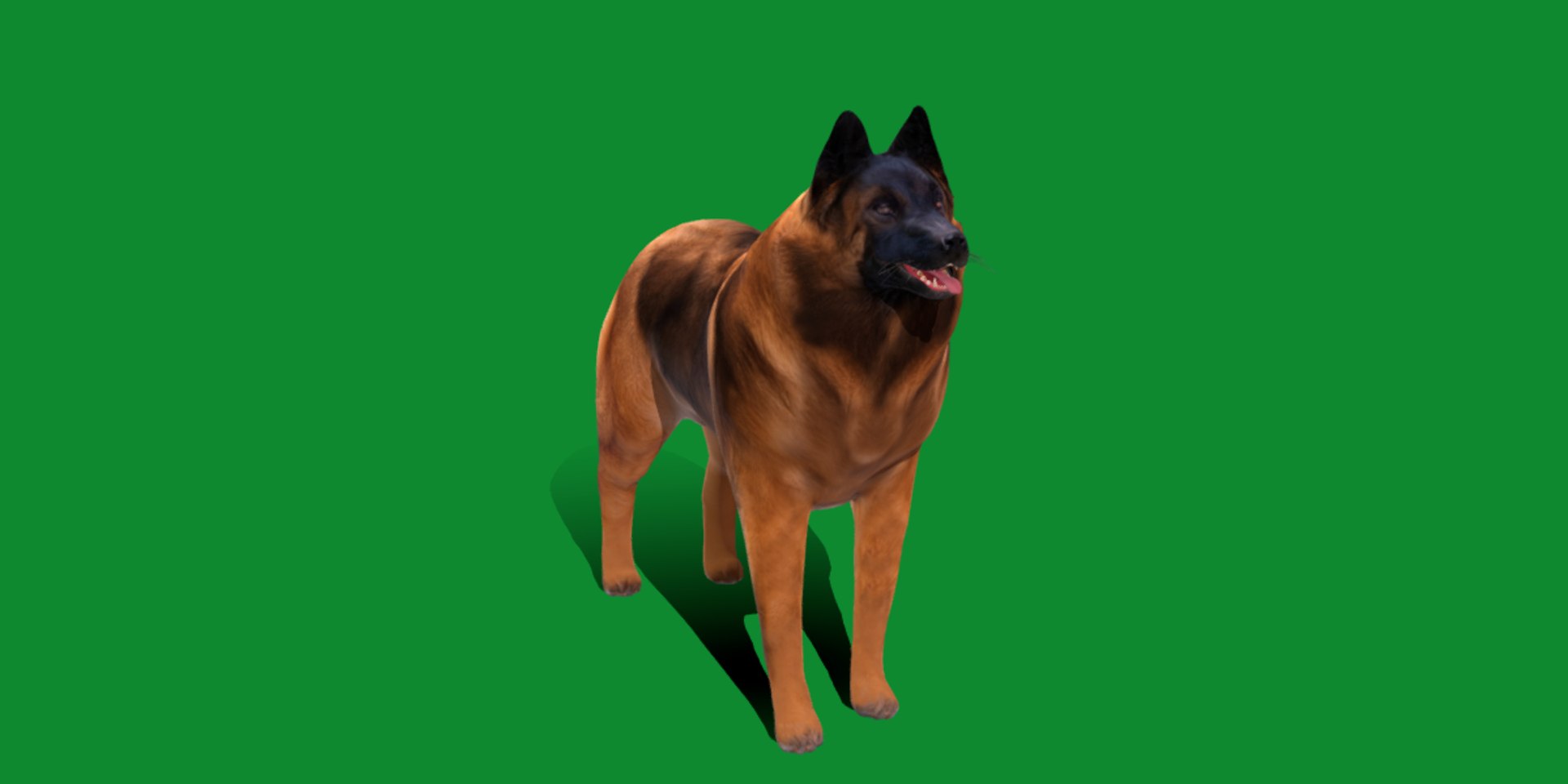 Belgian Shepherd Tervuren Dog model https://p.turbosquid.com/ts-thumb/To/lcdGUL/jT/belgian_shepherd_tervuren_dog2/png/1725448835/1920x1080/fit_q87/7c585d751134633e2a4901772f831cce72528a48/belgian_shepherd_tervuren_dog2.jpg