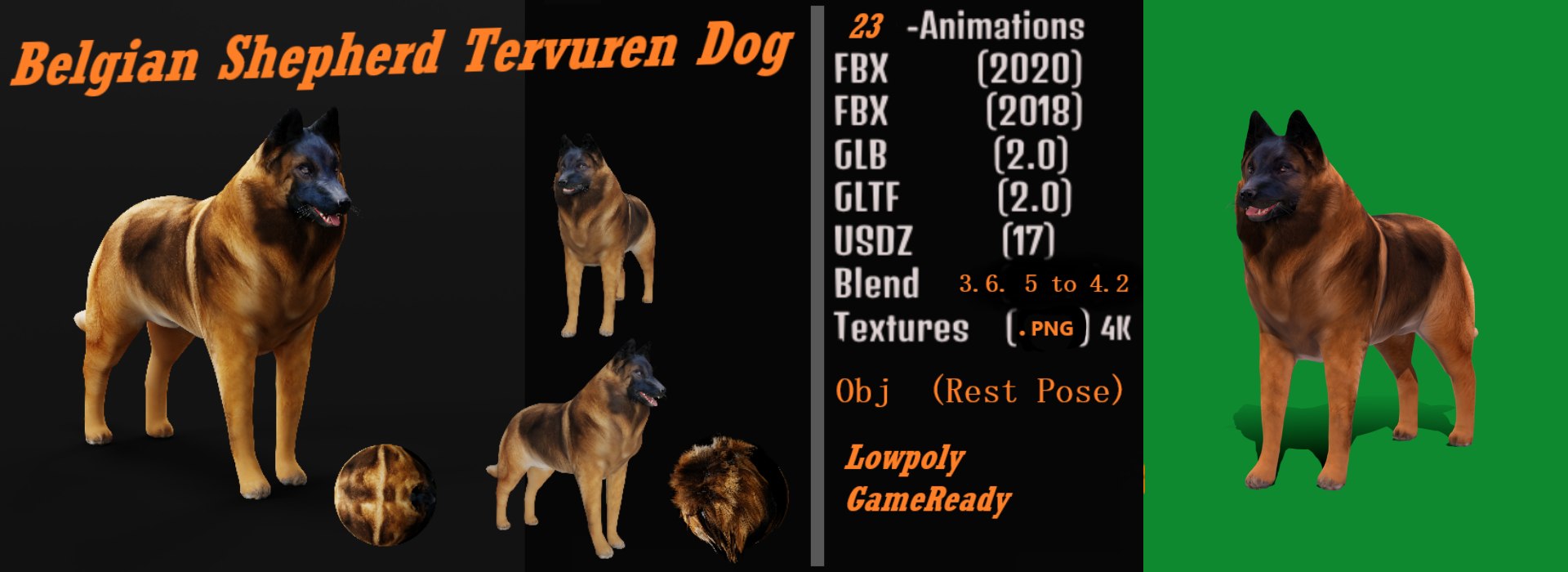 Belgian Shepherd Tervuren Dog model https://p.turbosquid.com/ts-thumb/To/lcdGUL/zS/shepherd_dog/png/1725448877/1920x1080/fit_q87/7339bcec939b588930064d6432a95838d5dc806f/shepherd_dog.jpg