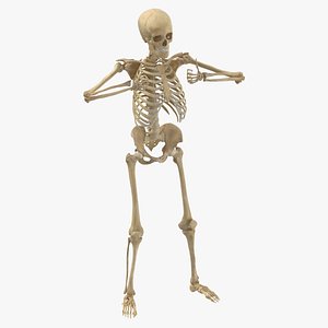3D Real Human Female Skeleton Pose 102(1)