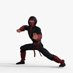 Ninja Character Rigged