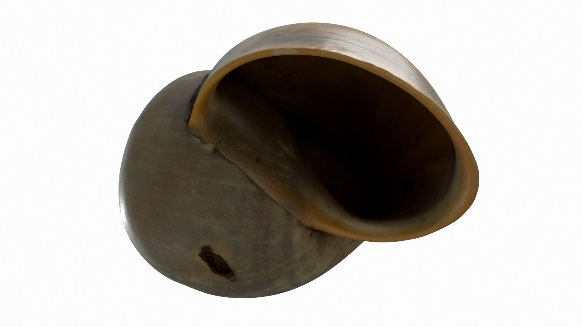 3D Sea Snail model https://p.turbosquid.com/ts-thumb/Tp/40Ww5N/3w/seasnail_preview05/jpg/1632871579/1920x1080/fit_q87/386c1666831cc6d434cdd047fdba905ae1da9d49/seasnail_preview05.jpg