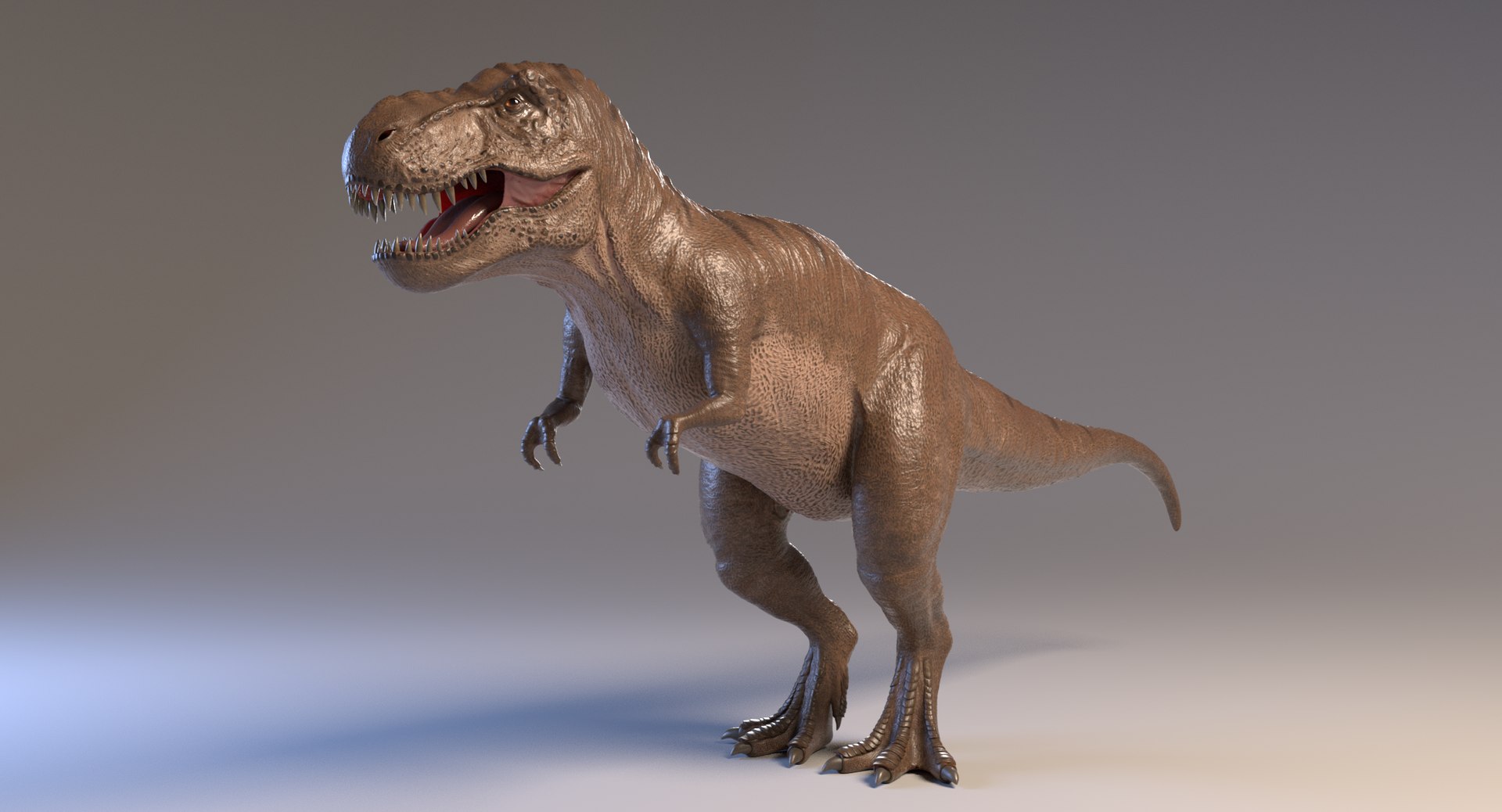 arnold rex animation 3D model https://p.turbosquid.com/ts-thumb/Tp/DEGeLI/40S8O86E/context_signature_0001/png/1560076309/1920x1080/fit_q87/29dae863889374085d5765415e115153514f246f/context_signature_0001.jpg