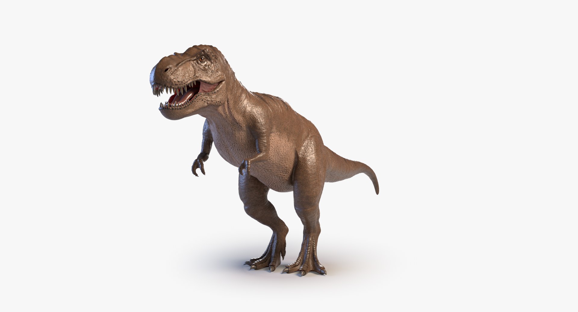 arnold rex animation 3D model https://p.turbosquid.com/ts-thumb/Tp/DEGeLI/qdvctdcP/signature/png/1560076309/1920x1080/fit_q87/18eb6fac005a1f7fb14db492b4cc134fc90232c7/signature.jpg