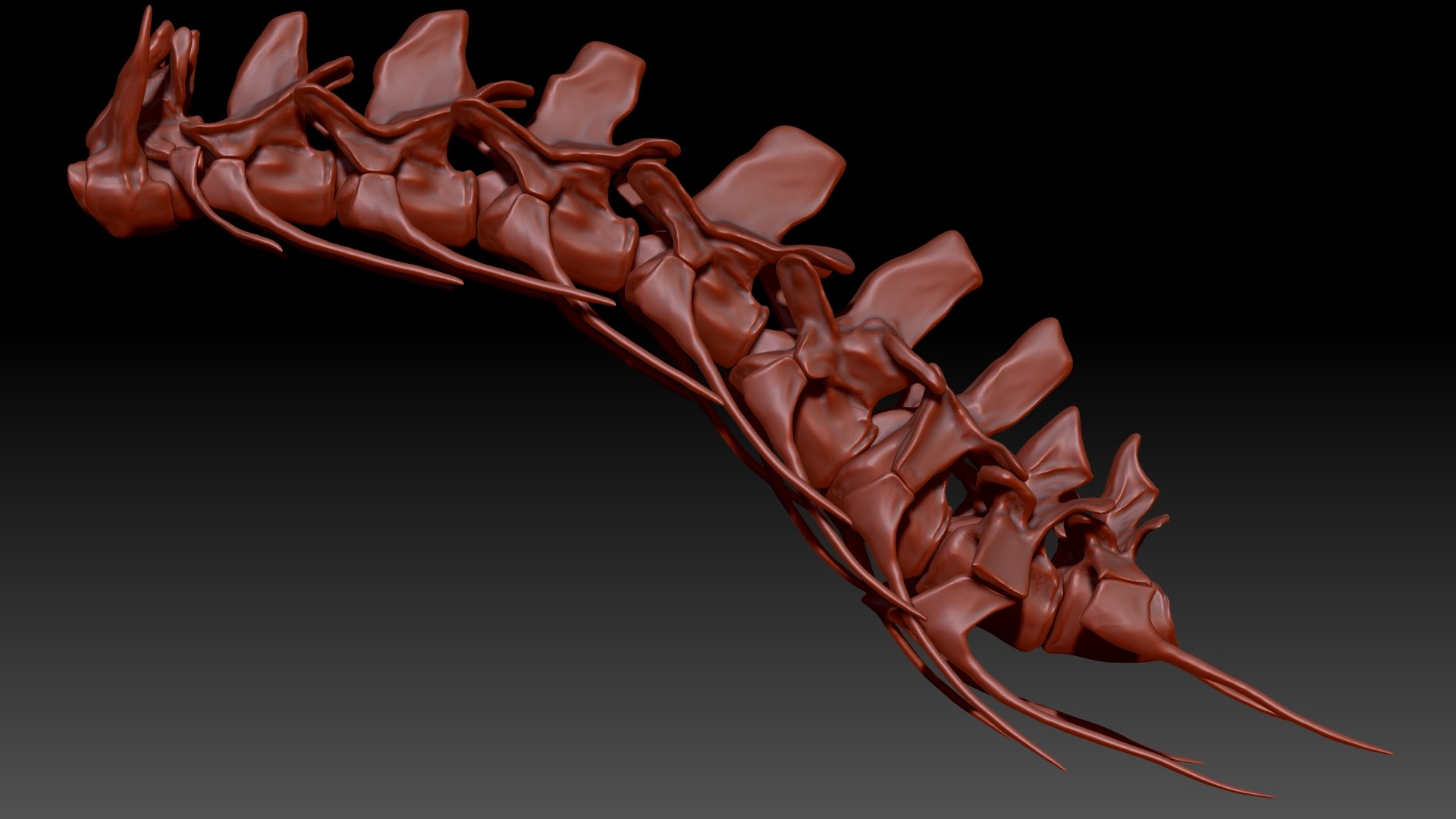 3D Spinosaurus Neck Skeletons Set model https://p.turbosquid.com/ts-thumb/Tp/EJ74zP/f9/03/jpg/1617551688/1920x1080/fit_q87/41200555262f18cd85d8e1a0dfd1f522d63cb1a1/03.jpg