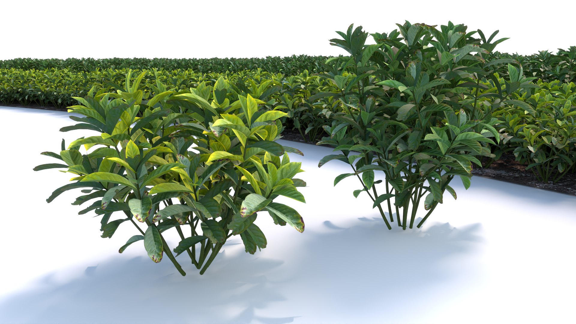 3D Landscape And Shrub 3D Models - TurboSquid 2253599