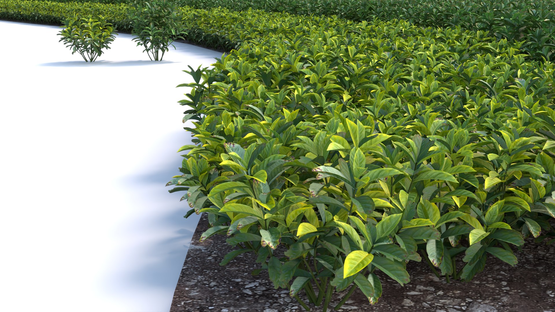 3D Landscape And Shrub 3D Models - TurboSquid 2253599