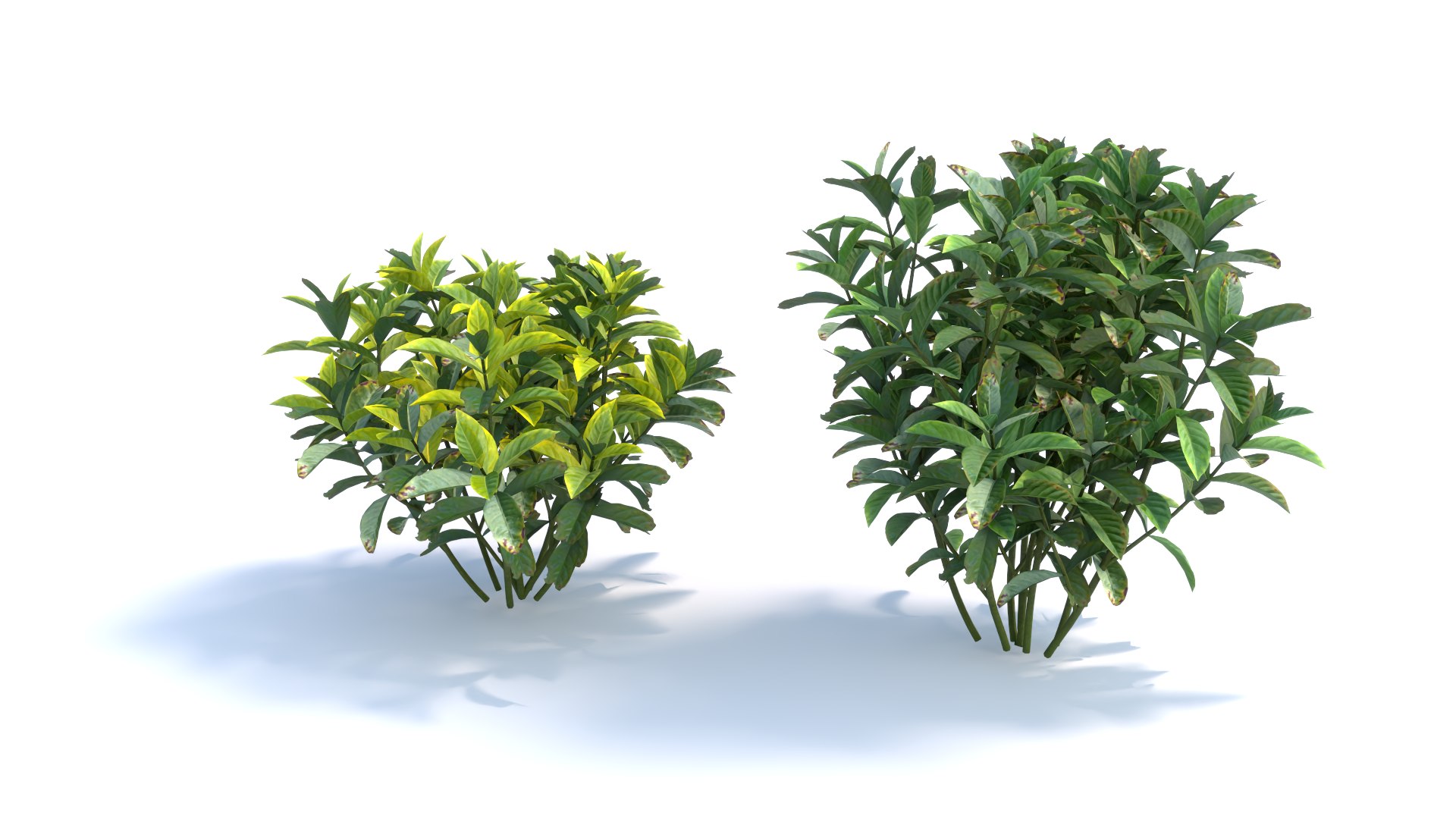 3D Landscape And Shrub 3D Models - TurboSquid 2253599