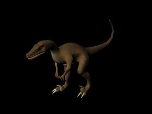 Raptor