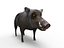 Cinghiale attrezzato e animato