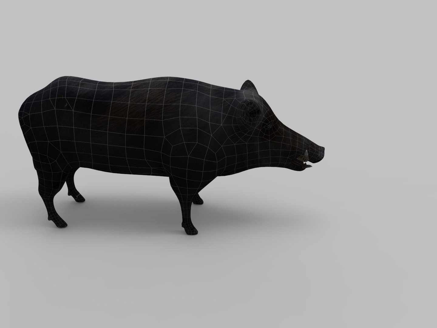 wild boar rigged animation 3D model https://p.turbosquid.com/ts-thumb/Tp/UQQTOI/CyILKfit/boar.297/jpg/1518448826/1920x1080/fit_q87/342000b5f43327dbae40e050c88d921baf78d09b/boar.297.jpg