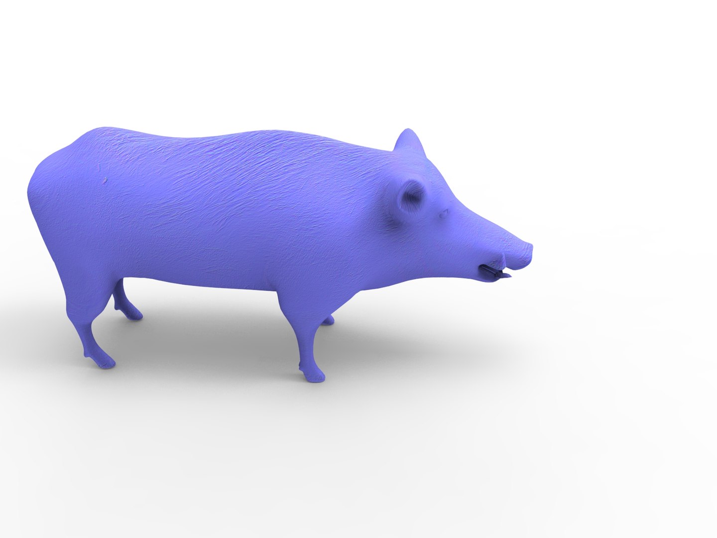 wild boar rigged animation 3D model https://p.turbosquid.com/ts-thumb/Tp/UQQTOI/ONITIrVM/boar.291/jpg/1518448826/1920x1080/fit_q87/f29428ea42dc1b3861a9f08e6766400680b0f990/boar.291.jpg