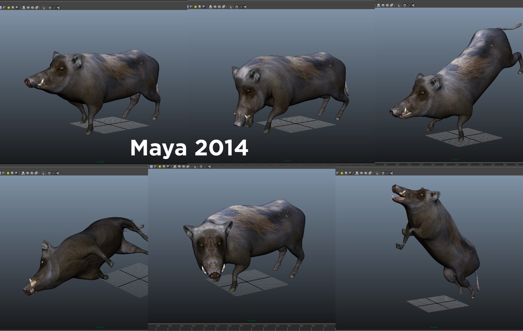 wild boar rigged animation 3D model https://p.turbosquid.com/ts-thumb/Tp/UQQTOI/YTfXEJRx/maya/jpg/1518449112/1920x1080/fit_q87/7ca43be11f65807939a174c0b0cc24f44d31974a/maya.jpg