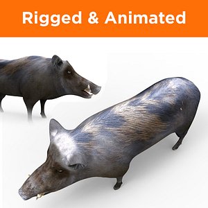 wild boar rigged animation 3D model