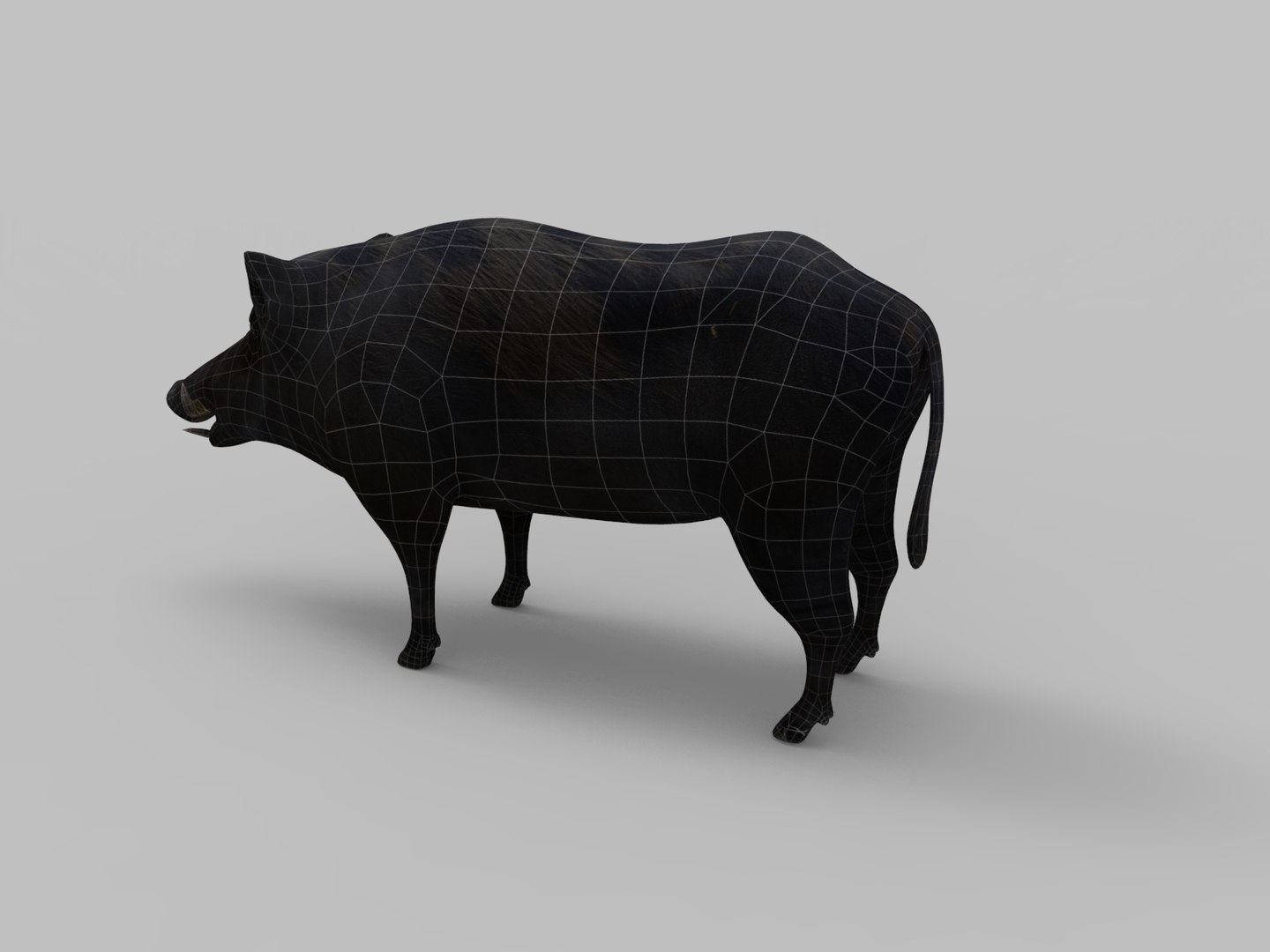 wild boar rigged animation 3D model https://p.turbosquid.com/ts-thumb/Tp/UQQTOI/feM6ZulH/boar.295/jpg/1518448826/1920x1080/fit_q87/93605dc17eb5a848200e81773cf3e7a31646ccf3/boar.295.jpg