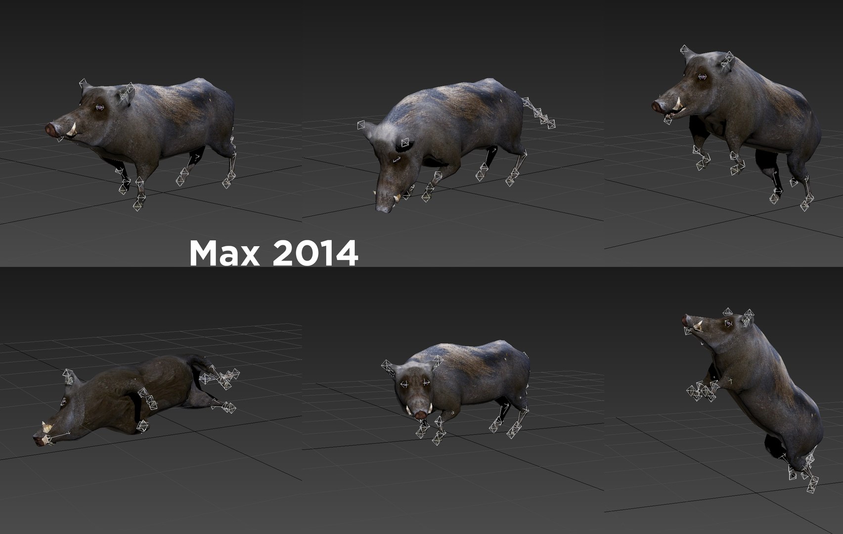 wild boar rigged animation 3D model https://p.turbosquid.com/ts-thumb/Tp/UQQTOI/vur7EQ1a/max/jpg/1518449112/1920x1080/fit_q87/984183787100b4cecb77c593e355cee1c5af2715/max.jpg