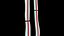 Fiber longitudinal section