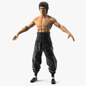 Bruce Lee Toy A-Pose