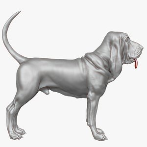 bloodhound zbrush 3d model