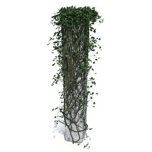 3D model Ivy on a column V2