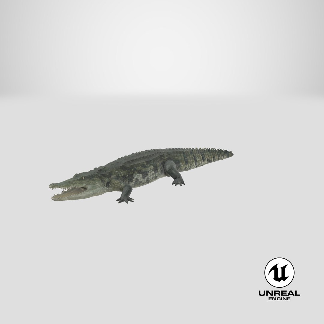 crocodile croc 3d x https://p.turbosquid.com/ts-thumb/Tp/uT6R7i/GyjwoImQ/stemcell_unreal_render/png/1592452525/1920x1080/fit_q87/fa61f84824ac5298b976dd871d489113829774bc/stemcell_unreal_render.jpg
