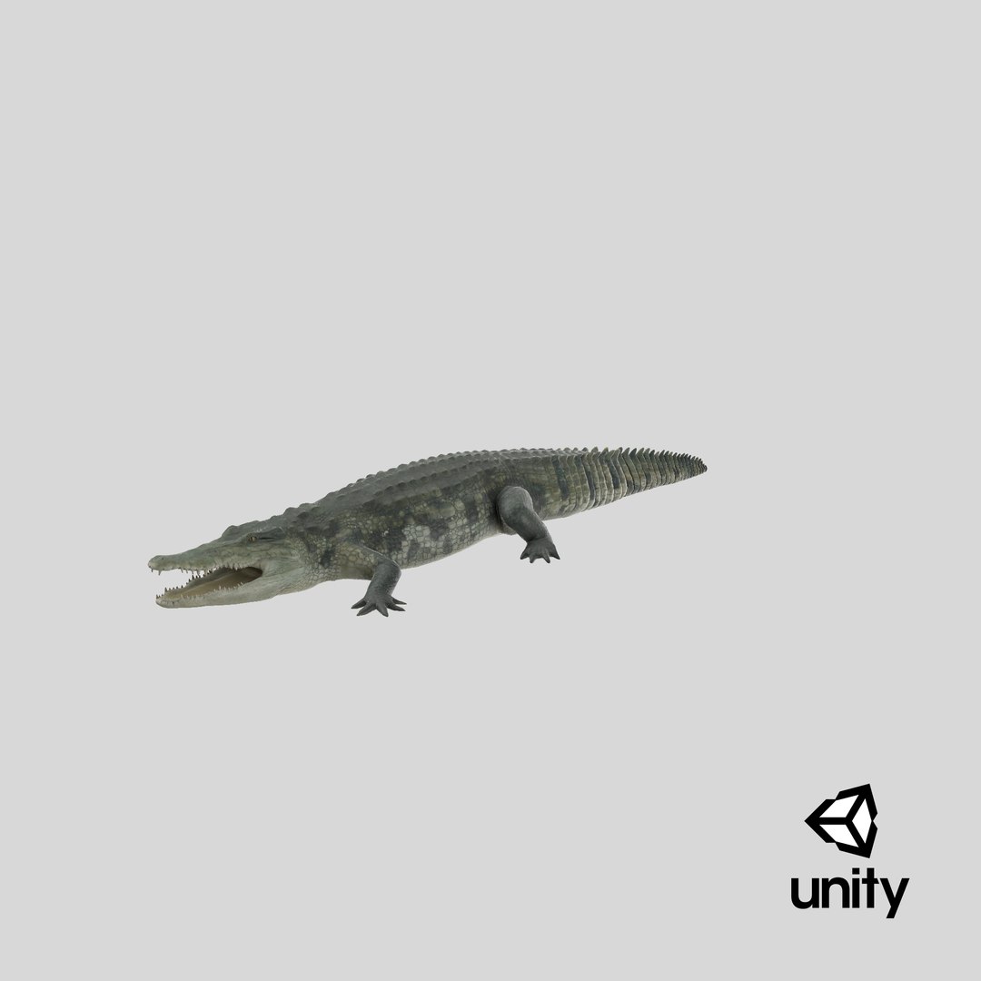 crocodile croc 3d x https://p.turbosquid.com/ts-thumb/Tp/uT6R7i/IJZ4JN7i/stemcell_unity_render/png/1592452522/1920x1080/fit_q87/7777dd439c1643b3fbc5696456dd3239111a9a29/stemcell_unity_render.jpg