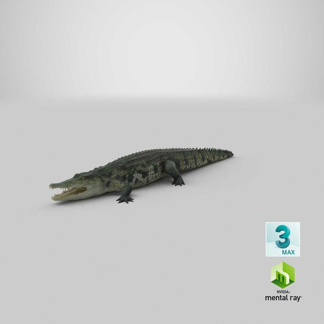 crocodile croc 3d x https://p.turbosquid.com/ts-thumb/Tp/uT6R7i/KaTFAy2K/stemcell_max_mental_ray_render/png/1592452532/1920x1080/fit_q87/fa67a8d2d4c546576c2afe2aca7b68007f81c73e/stemcell_max_mental_ray_render.jpg