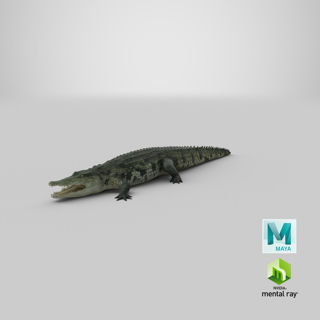 crocodile croc 3d x https://p.turbosquid.com/ts-thumb/Tp/uT6R7i/XjhHf8GO/stemcell_maya_mental_ray_render/png/1592452541/1920x1080/fit_q87/a0b9d43ad0d5f8b6ddb3d8007e218bf35cfe14d2/stemcell_maya_mental_ray_render.jpg