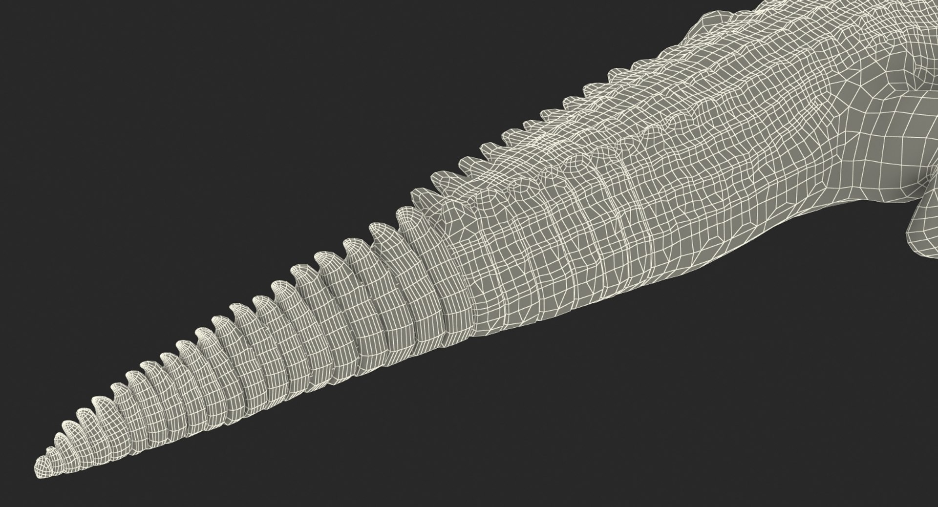 crocodile croc 3d x https://p.turbosquid.com/ts-thumb/Tp/uT6R7i/aHdC68Cq/crocodilec4dmodel021/jpg/1486968708/1920x1080/fit_q87/fe87201e5bb0bfafc55998fad0ccbf8b87e49f41/crocodilec4dmodel021.jpg